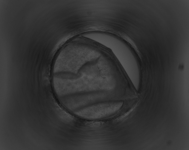 X0000091890930200710031138