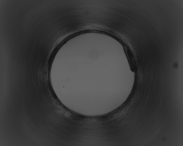 X0000091890931200710031138