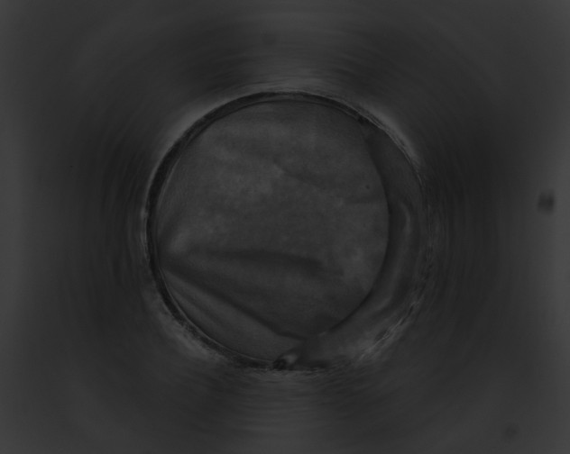 X0000091890932200710031138