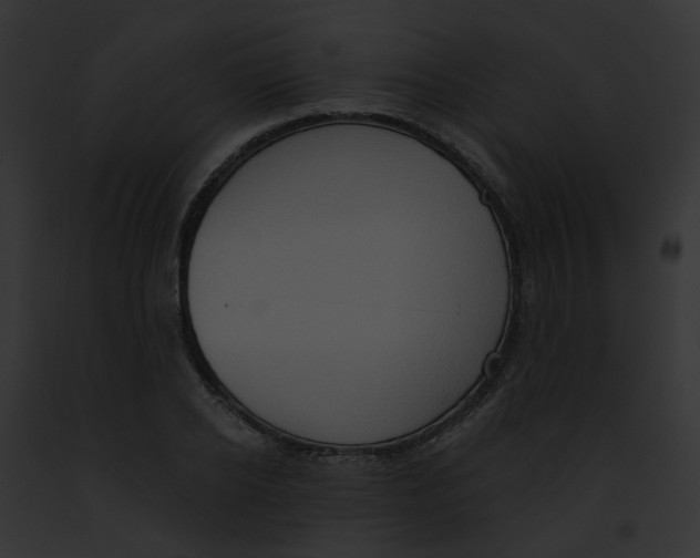 X0000091890934200710031138