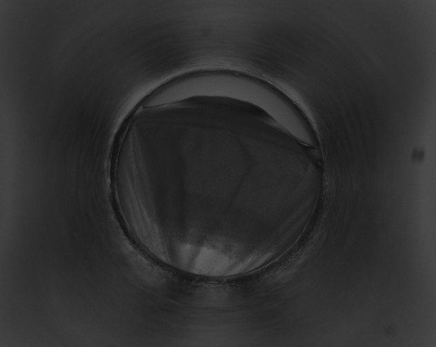 X0000091890935200710031138