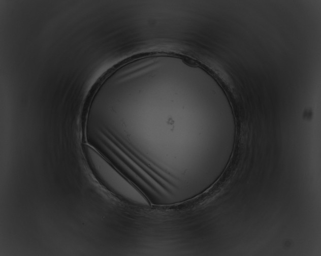 X0000091890936200710031138