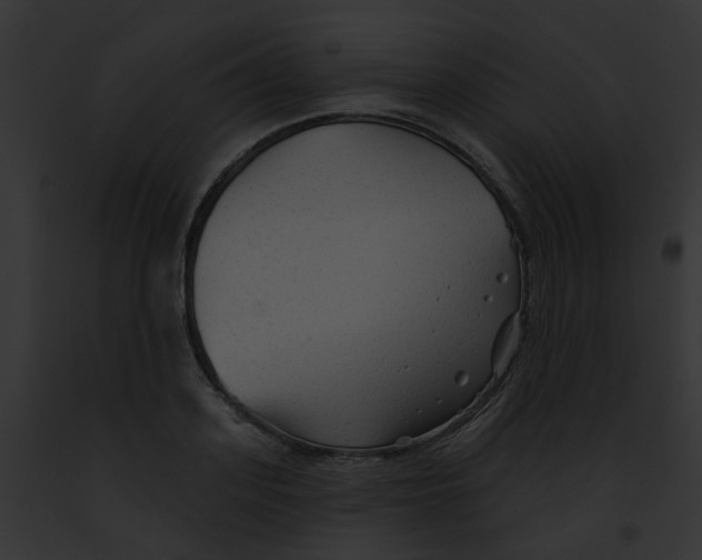 X0000091890939200710031138