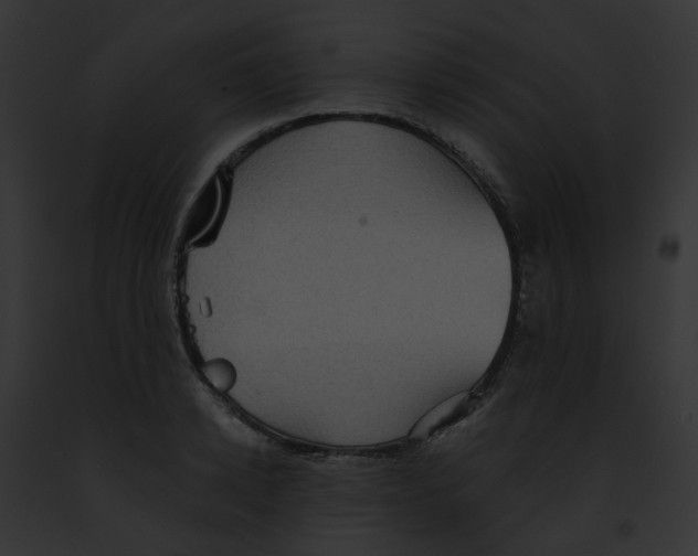X0000091890942200710031138