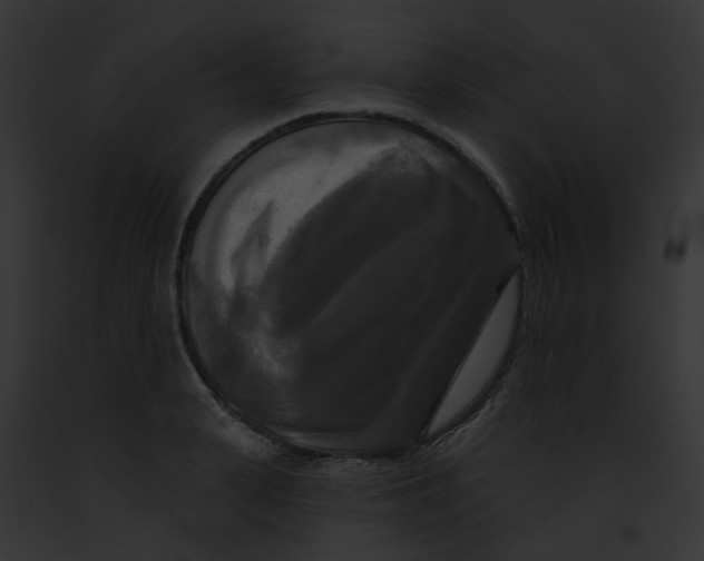 X0000091890943200710031138