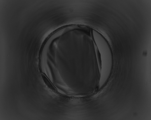 X0000091890944200710031138