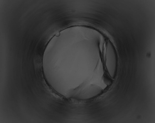X0000091890945200710031138