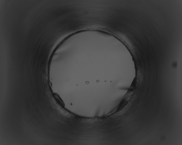 X0000091890948200710031138