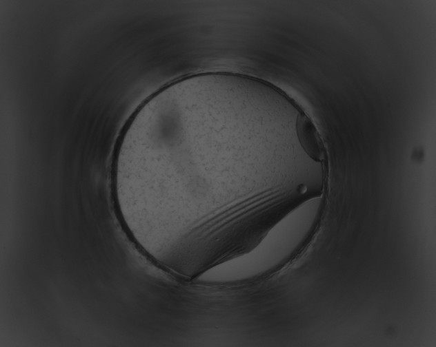 X0000091890949200710031138