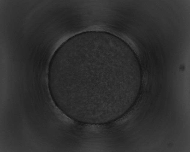 X0000091890950200710031138
