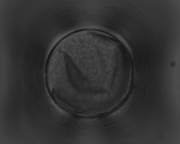 X0000091890951200710031138