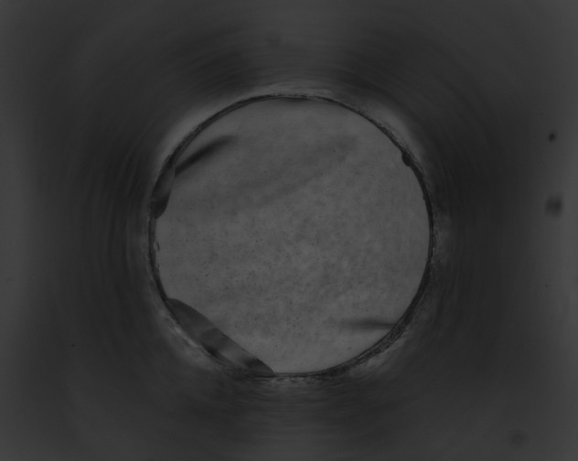 X0000091890952200710031138