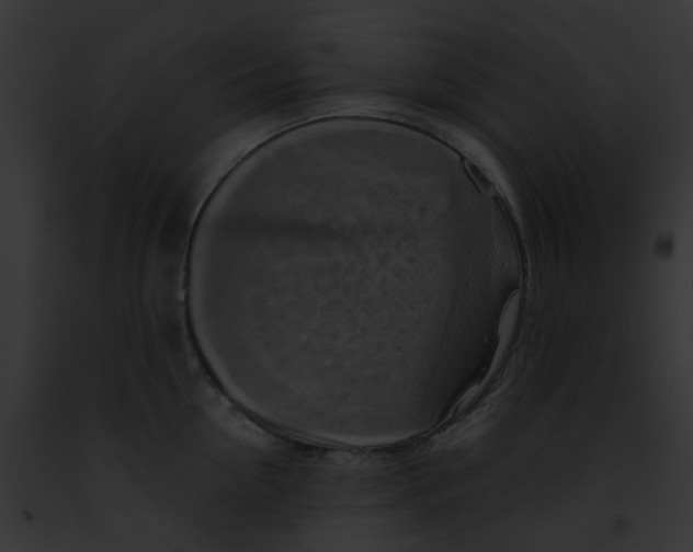 X0000091890954200710031138