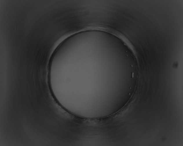 X0000091890955200710031138