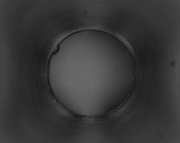 X0000091890956200710031139