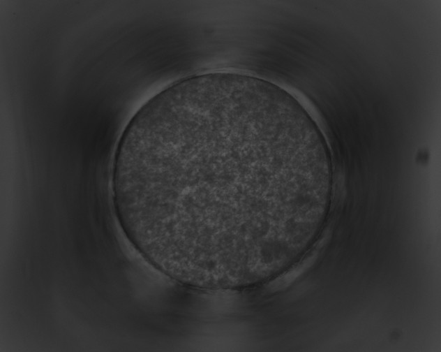 X0000091890957200710031139