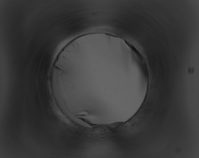 X0000091890960200710031139