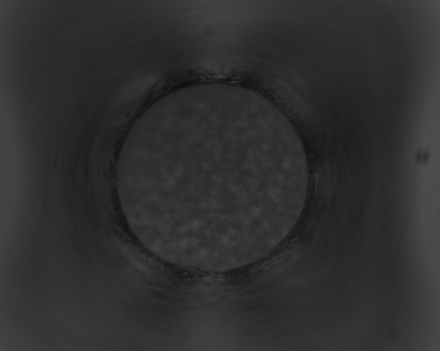 X0000091890961200710031138