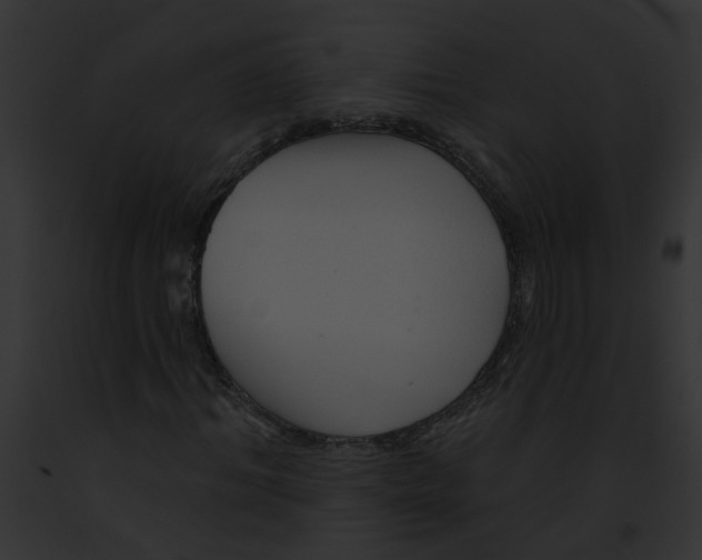X0000091890964200710031138