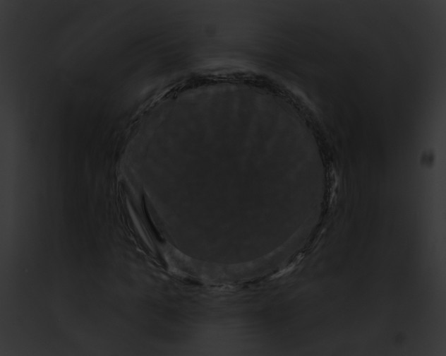 X0000091890965200710031138