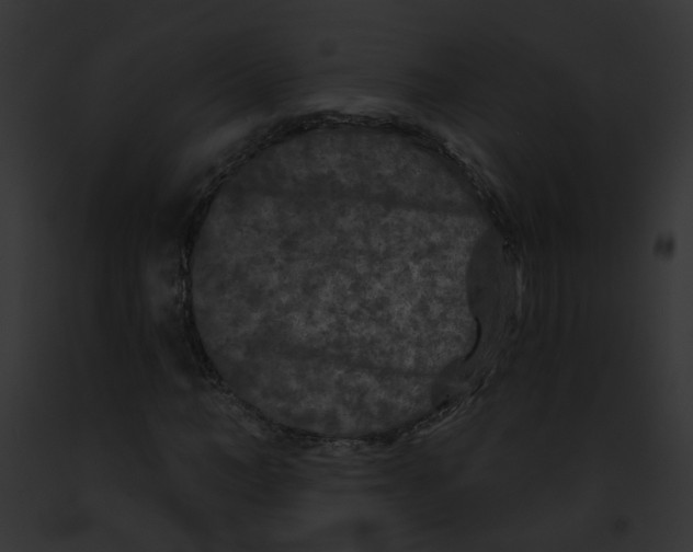 X0000091890966200710031138