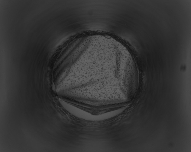 X0000091890968200710031138