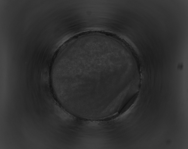 X0000091890969200710031138