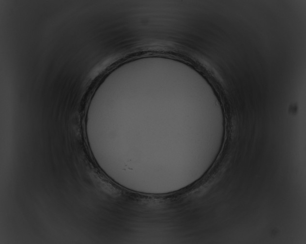 X0000091890970200710031138