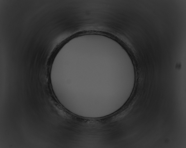 X0000091890974200710031138