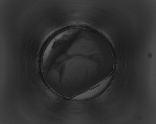 X0000091890975200710031138