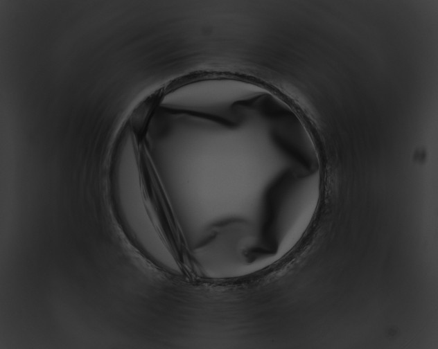 X0000091890976200710031138