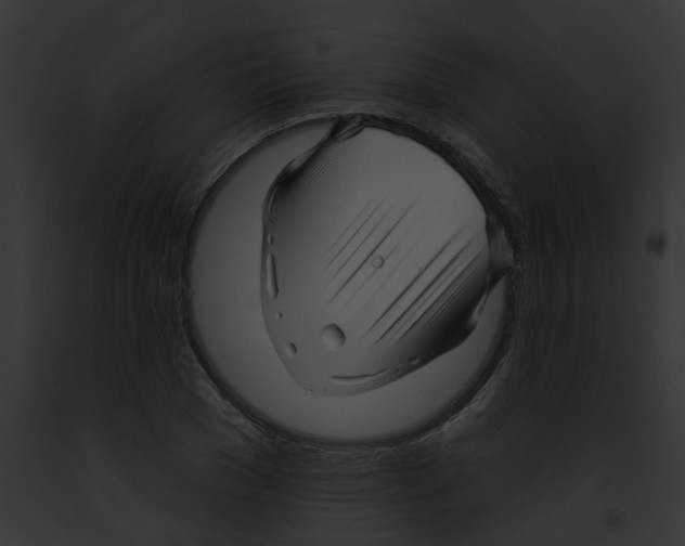 X0000091890977200710031138