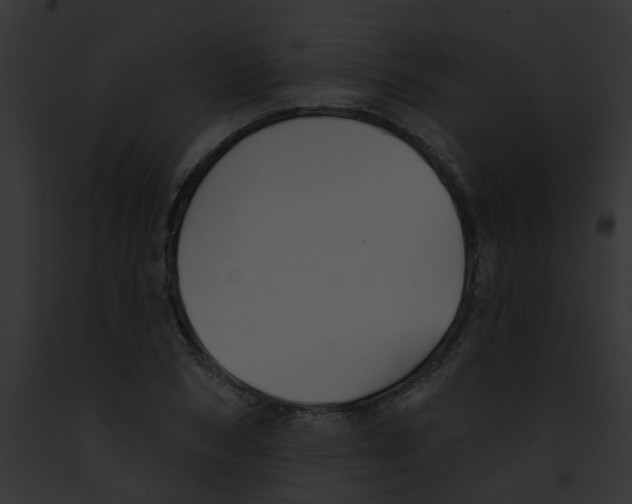 X0000091890978200710031138