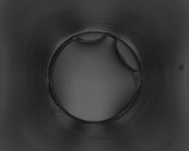 X0000091890980200710031138