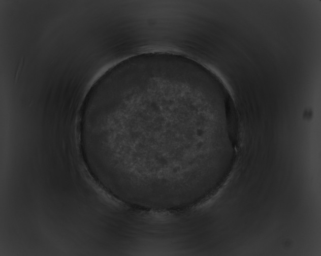 X0000091890983200710031138