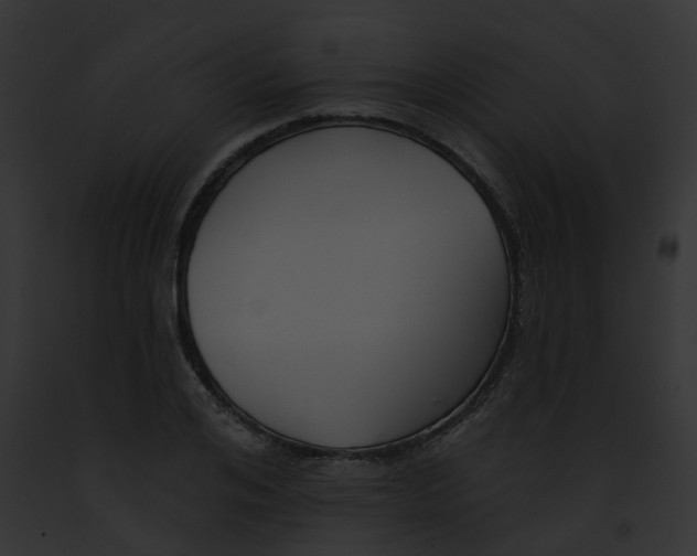 X0000091890984200710031138