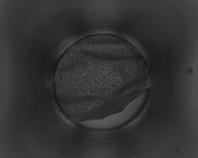 X0000091890985200710031138