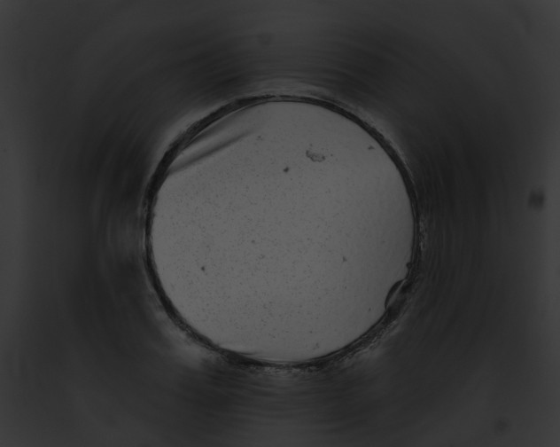 X0000091890987200710031138