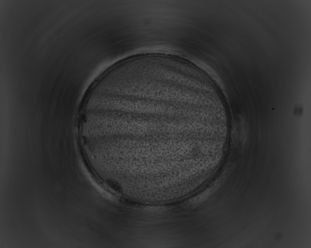 X0000091890989200710031138