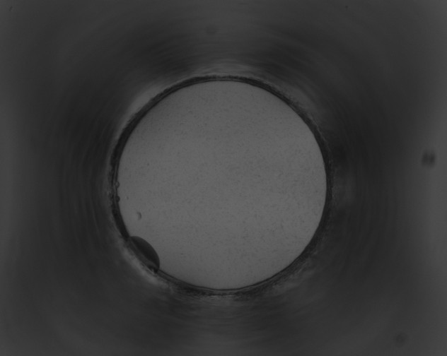 X0000091890990200710031138