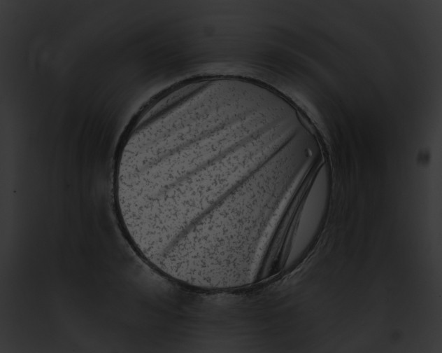 X0000091890992200710031138