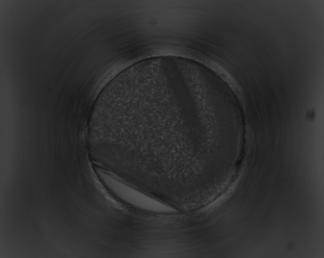X0000091890993200710031138