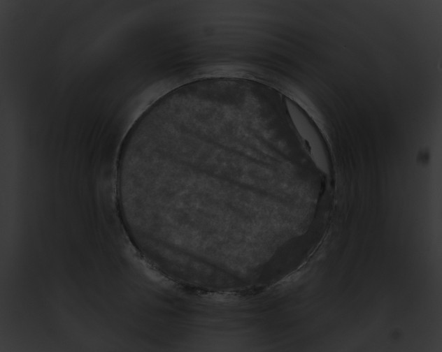 X0000091890994200710031138