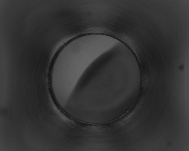 X0000091890995200710031138