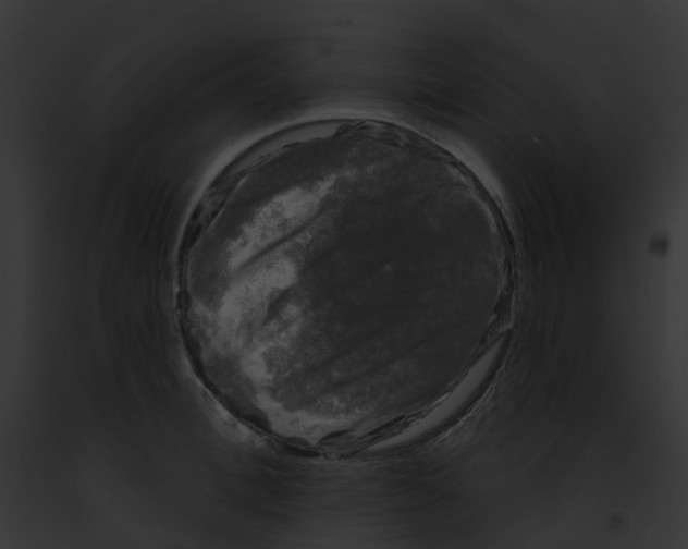 X0000091890996200710031138