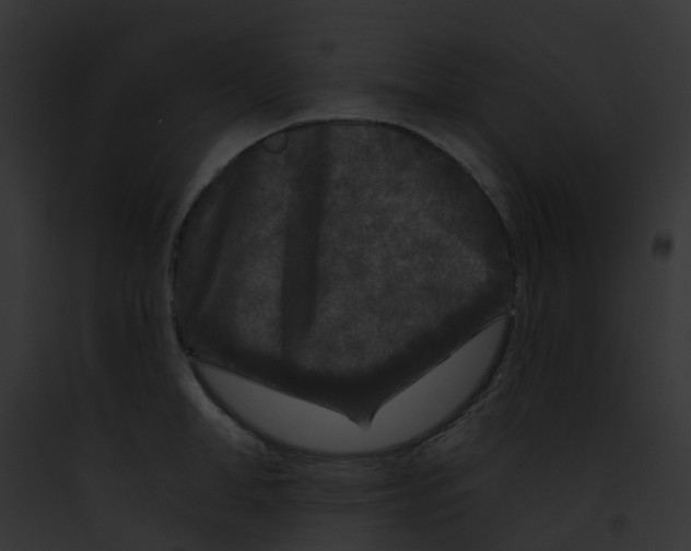 X0000091890998200710031138