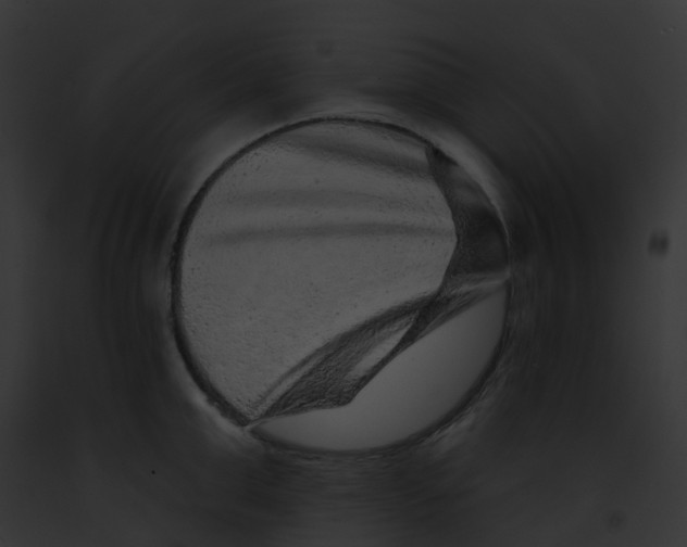 X0000091890999200710031137