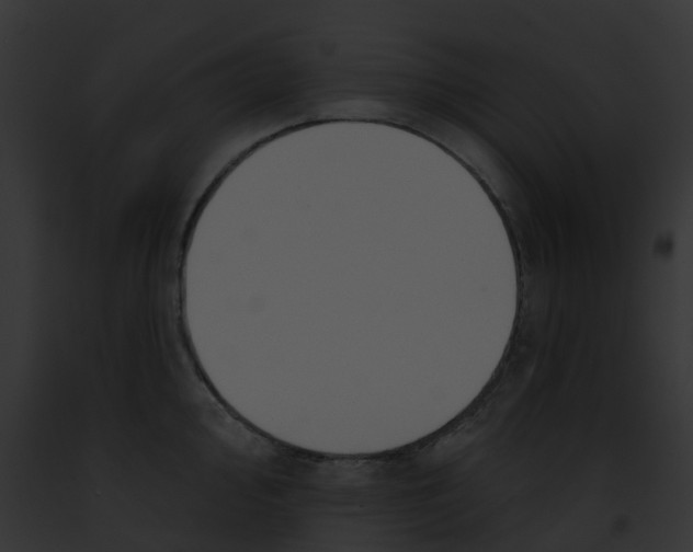 X0000091891000200710031137