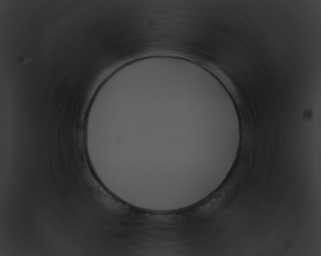 X0000091891004200710031137