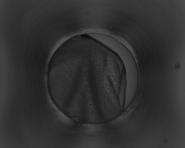 X0000091891005200710031137